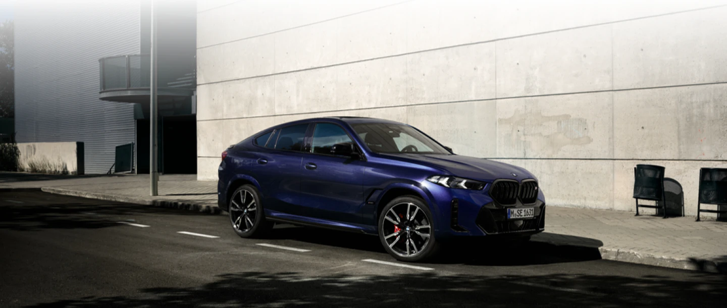 BMW X6